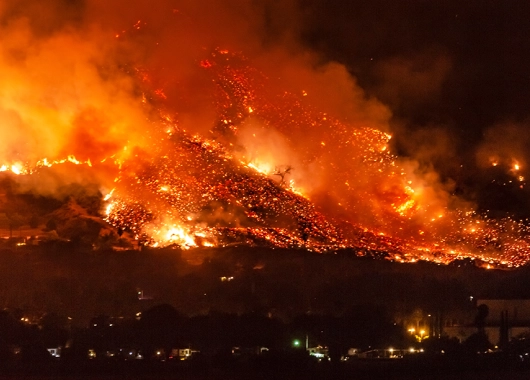 Wildfire emergency container