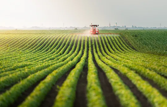 Agricultural Storage Containers for Farming