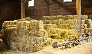 ps-future-farming-0218-1.jpg