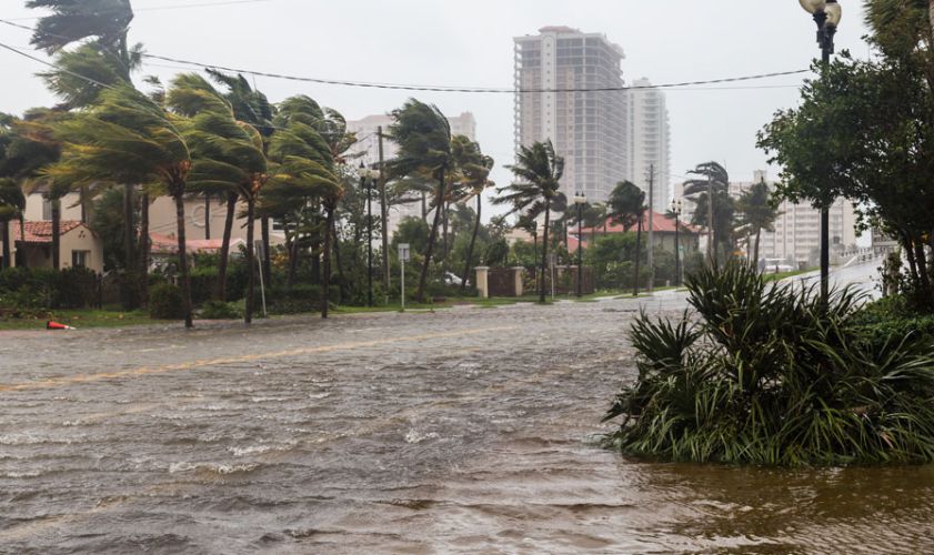 Shipping Containers for Hurricane