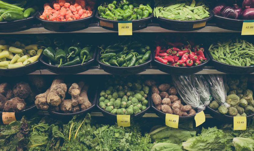 Storage Containers for Food Production