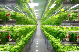 Container_farm.jpg