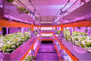 pure greens container farms