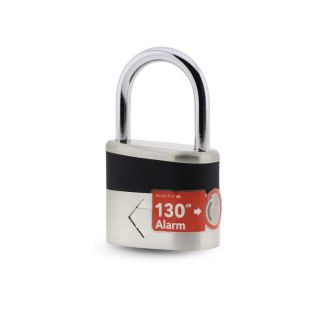 Alarmed Bolt Lock.jpg