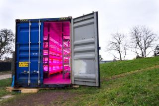 A hydroponic container
