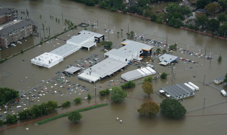 harvey-blog.jpg