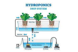 Drip hydroponic system infographics
