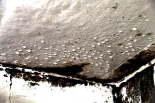 water damaged ceiling