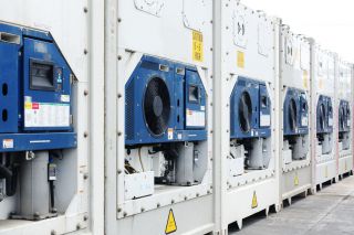 refrigerated containers.jpg