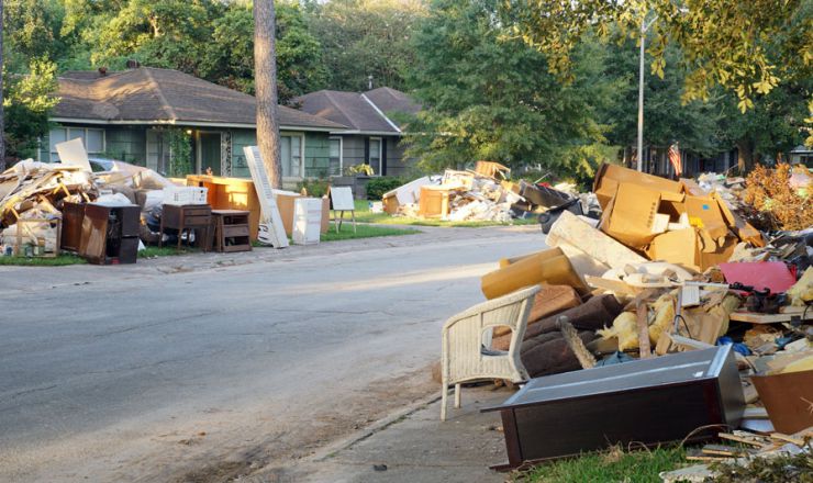 harvey-2-blog.jpg