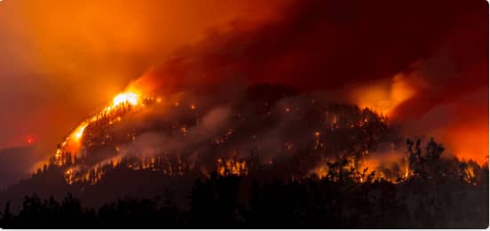 Wildfire emergency container